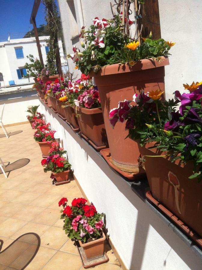 B&B Celestina Ischia Lacco Ameno  Exterior foto