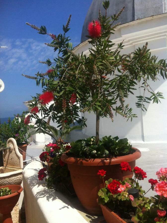 B&B Celestina Ischia Lacco Ameno  Exterior foto